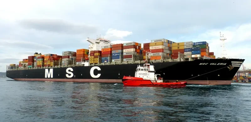 MSC VALERIA Container Ship IMO 9461439 photo 9