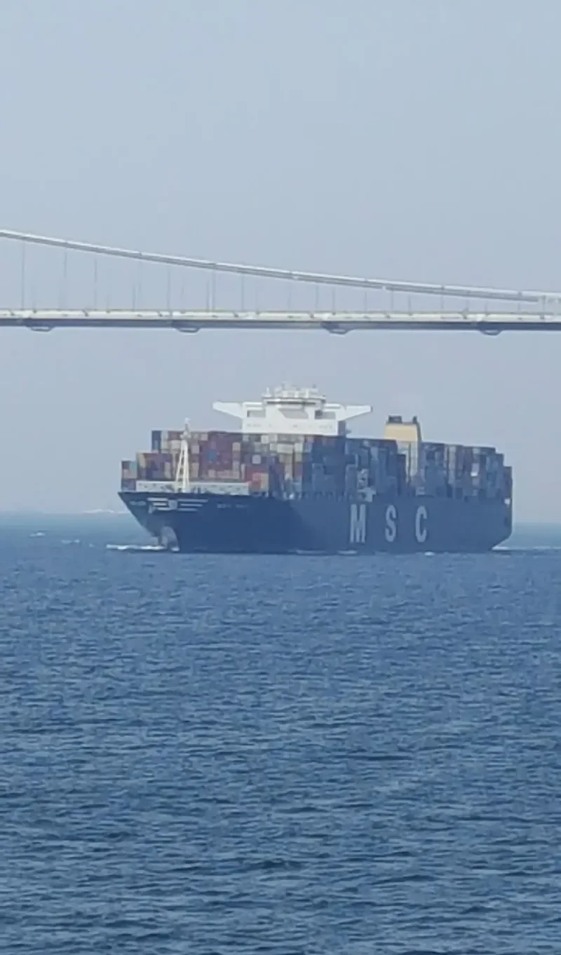 MSC BARI Container Ship IMO 9461441 photo 2