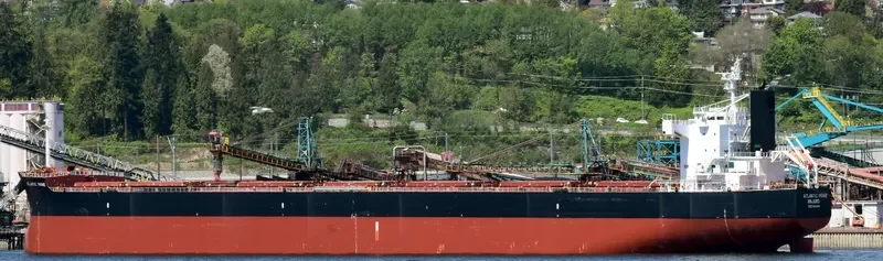 BACCO Bulk Carrier IMO 9461453