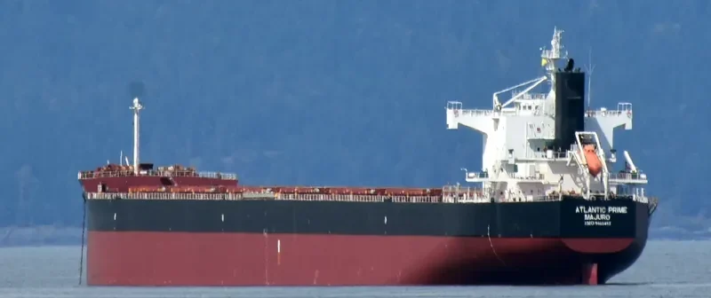 BACCO Bulk Carrier IMO 9461453 photo 2