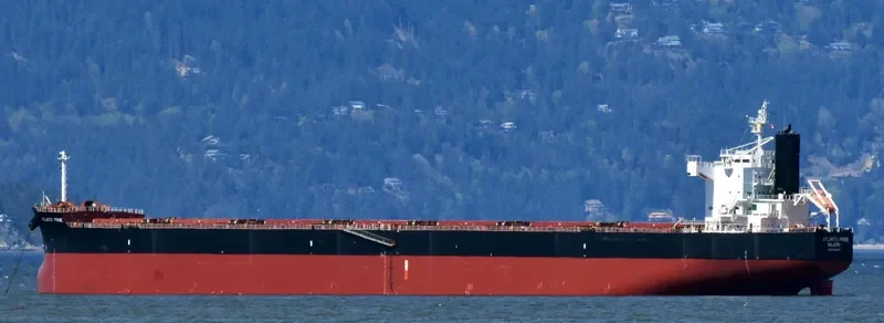 BACCO Bulk Carrier IMO 9461453 photo 3