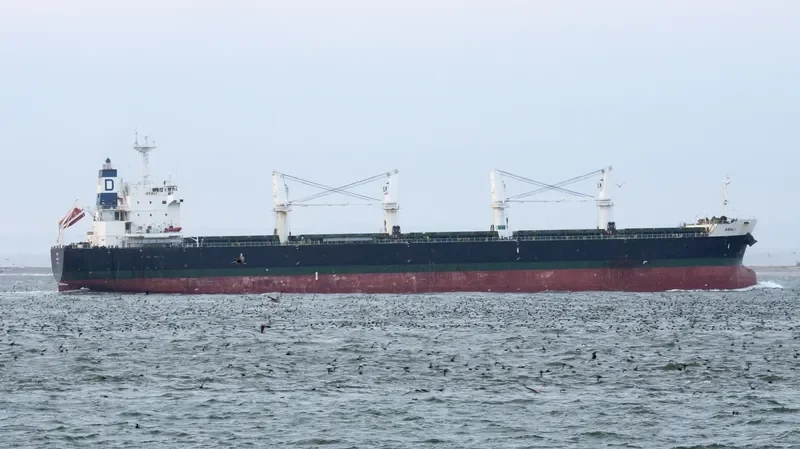 ASALI Bulk Carrier IMO 9461805