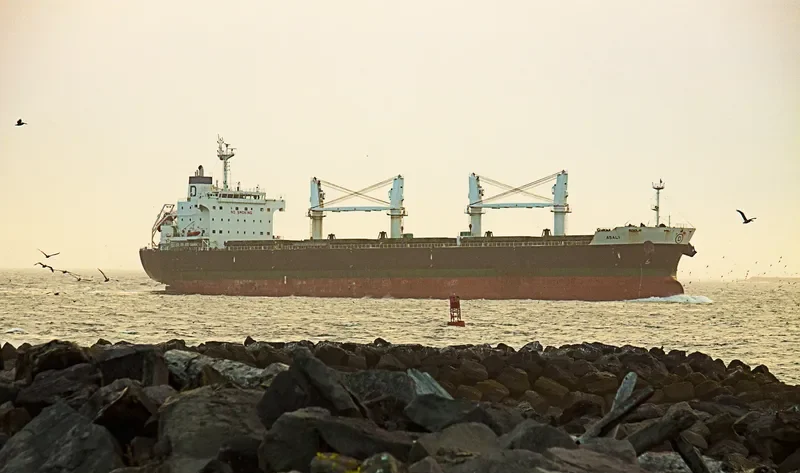 ASALI Bulk Carrier IMO 9461805 photo 2