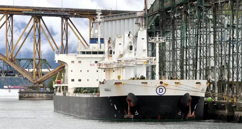 ASALI Bulk Carrier IMO 9461805 photo 3