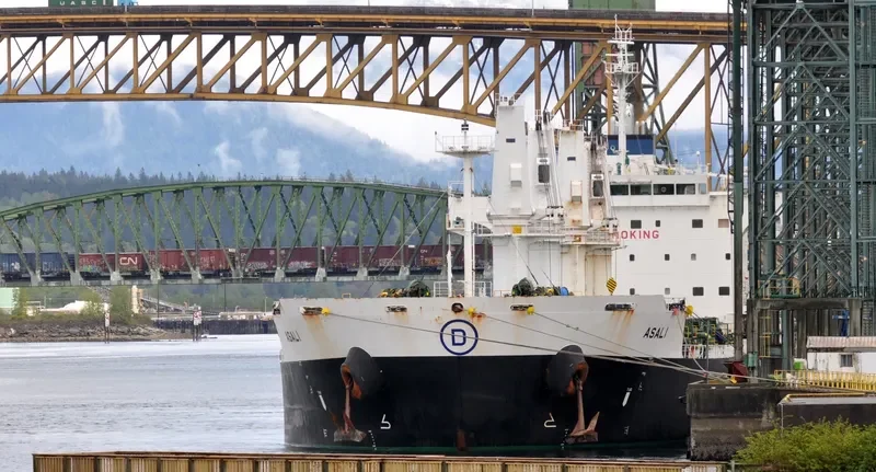ASALI Bulk Carrier IMO 9461805 photo 4