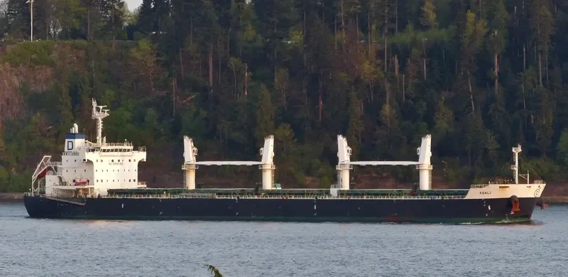 ASALI Bulk Carrier IMO 9461805 photo 5