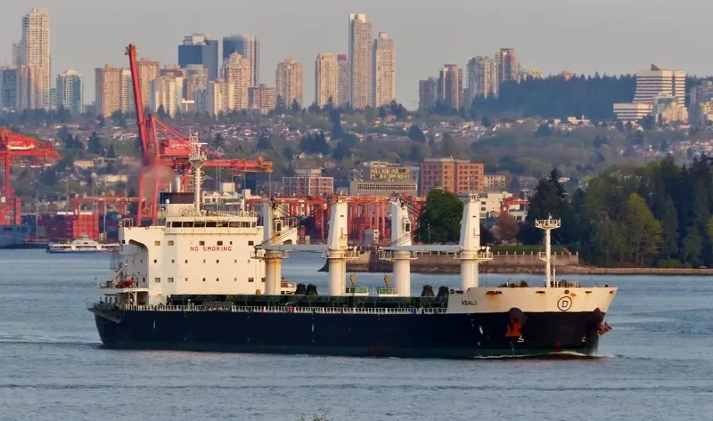 ASALI Bulk Carrier IMO 9461805 photo 6