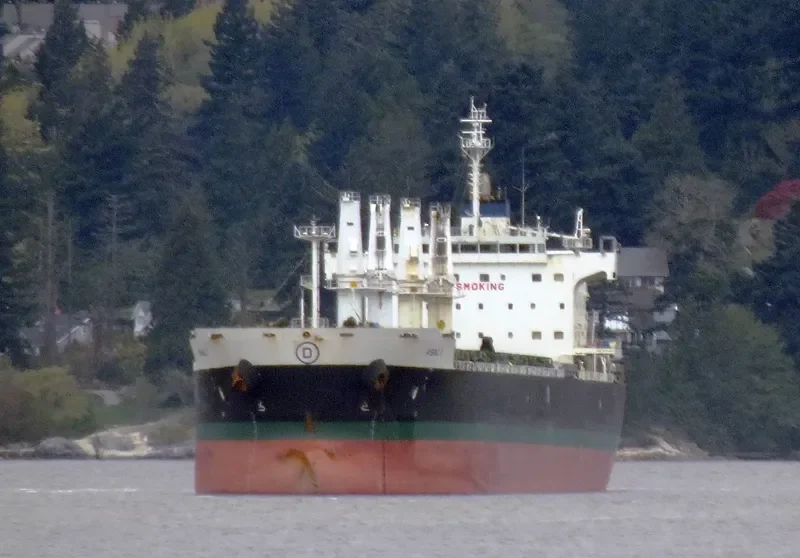 ASALI Bulk Carrier IMO 9461805 photo 7