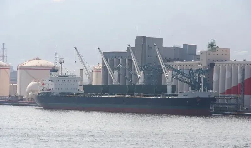 ASALI Bulk Carrier IMO 9461805 photo 10