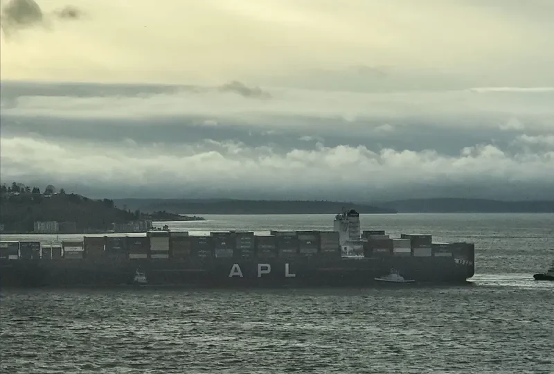 APL QINGDAO Container Ship IMO 9461893 photo 3
