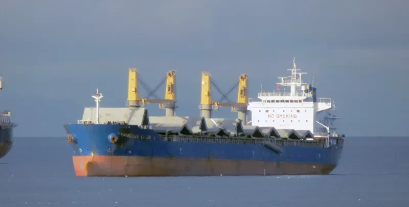 YANGTZE OASIS Bulk Carrier IMO 9461972 photo 4