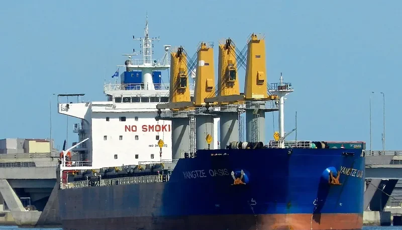 YANGTZE OASIS Bulk Carrier IMO 9461972 photo 8