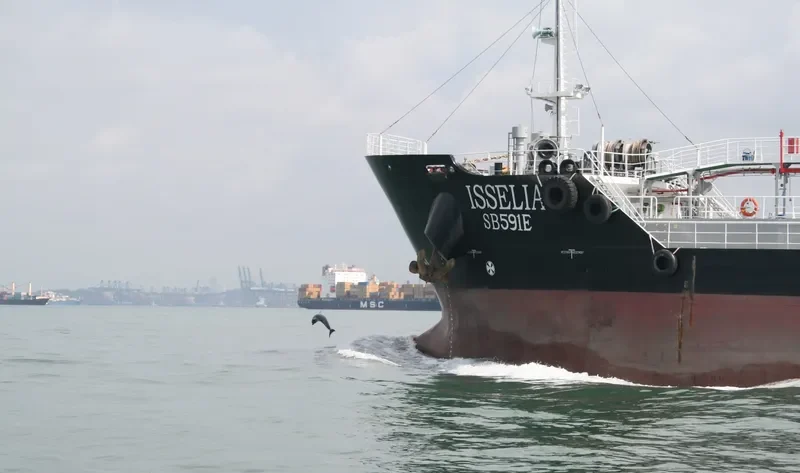 ISSELIA Tanker IMO 9462081 photo 6