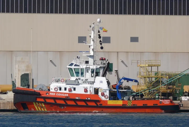 RED COUGAR General Cargo IMO 9462328 photo 5