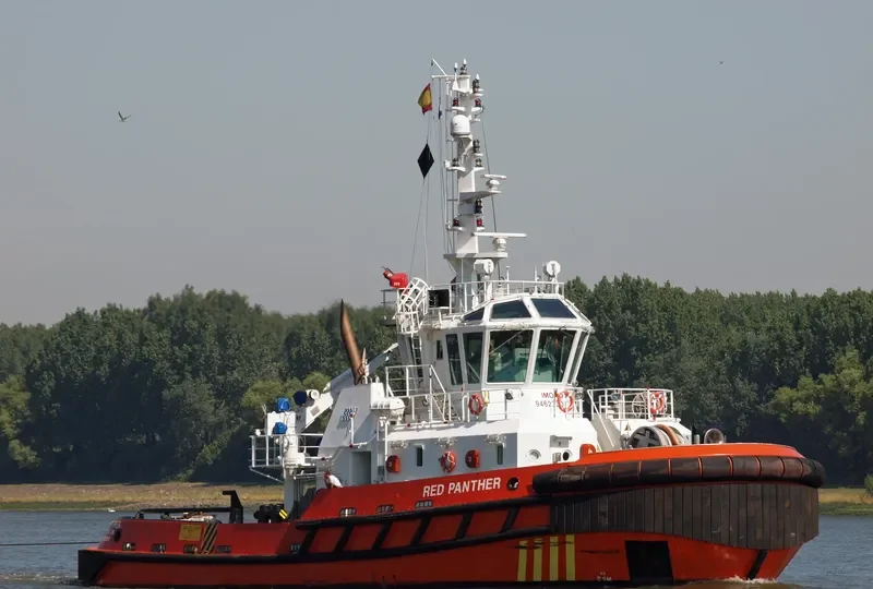 RED PANTHER General Cargo IMO 9462330 photo 2