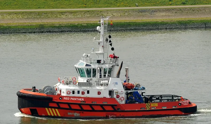 RED PANTHER General Cargo IMO 9462330 photo 3