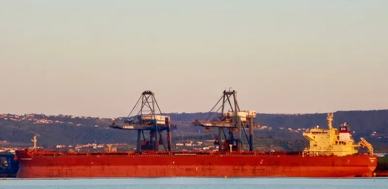 RICHARD OLDENDORFF Bulk Carrier IMO 9462366 photo 2