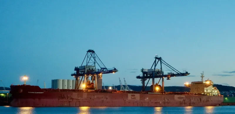 RICHARD OLDENDORFF Bulk Carrier IMO 9462366 photo 3