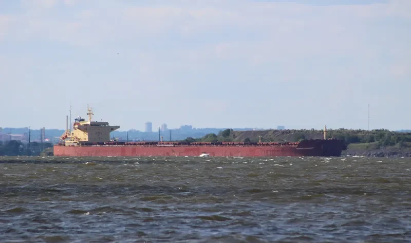 RICHARD OLDENDORFF Bulk Carrier IMO 9462366 photo 8