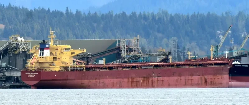 RICHARD OLDENDORFF Bulk Carrier IMO 9462366 photo 10
