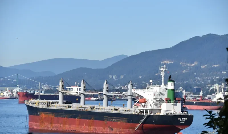 THEODORA Bulk Carrier IMO 9462445 photo 4