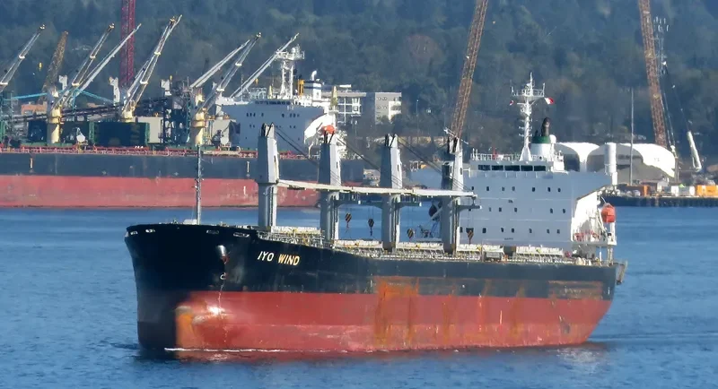 THEODORA Bulk Carrier IMO 9462445 photo 6