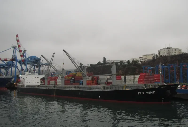 THEODORA Bulk Carrier IMO 9462445 photo 8