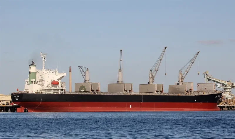 THEODORA Bulk Carrier IMO 9462445 photo 9