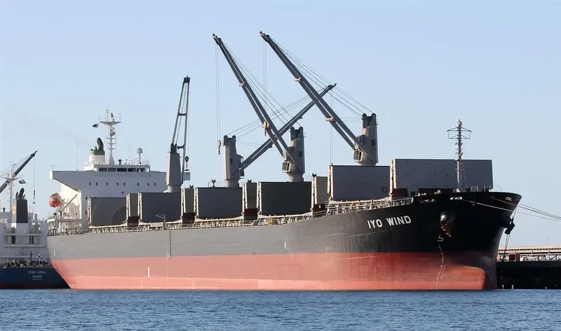 THEODORA Bulk Carrier IMO 9462445 photo 10