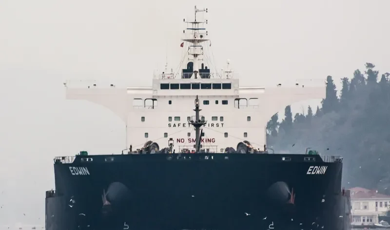EDWIN Bulk Carrier IMO 9462471