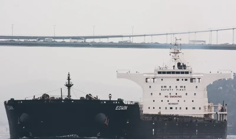 EDWIN Bulk Carrier IMO 9462471 photo 2