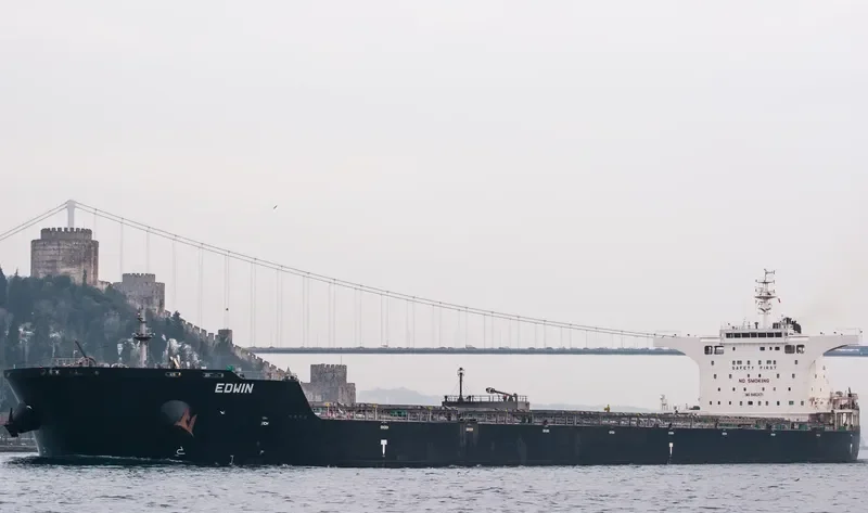 EDWIN Bulk Carrier IMO 9462471 photo 3