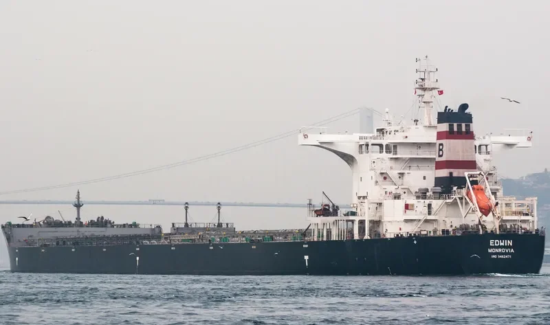 EDWIN Bulk Carrier IMO 9462471 photo 4