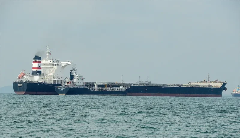 EDWIN Bulk Carrier IMO 9462471 photo 5