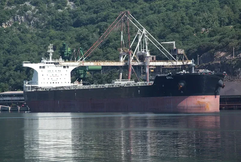 EMIL Bulk Carrier IMO 9462483 photo 3