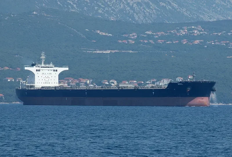 EMIL Bulk Carrier IMO 9462483 photo 4