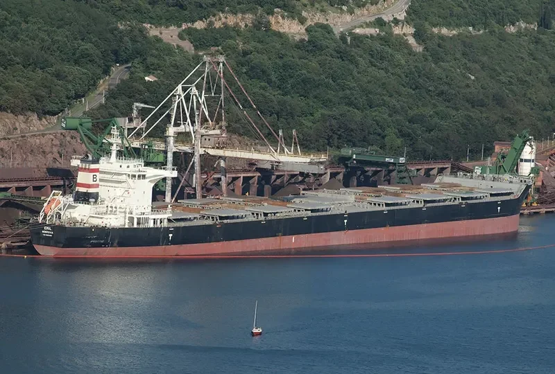 EMIL Bulk Carrier IMO 9462483 photo 7