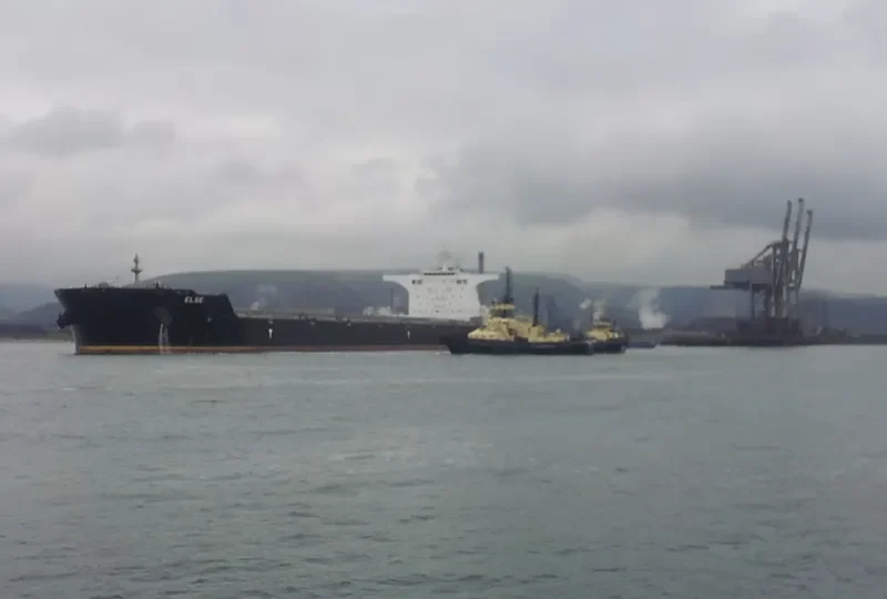 ELSE Bulk Carrier IMO 9462495