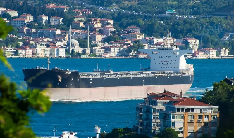 ELSE Bulk Carrier IMO 9462495 photo 2
