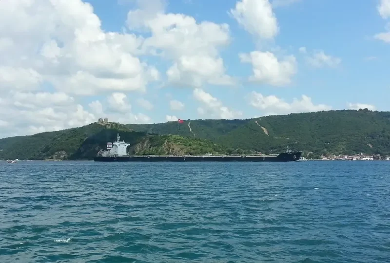 ELSE Bulk Carrier IMO 9462495 photo 4