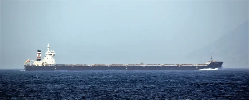 ELSE Bulk Carrier IMO 9462495 photo 5