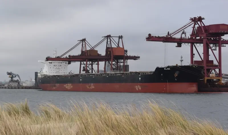 ELSE Bulk Carrier IMO 9462495 photo 6