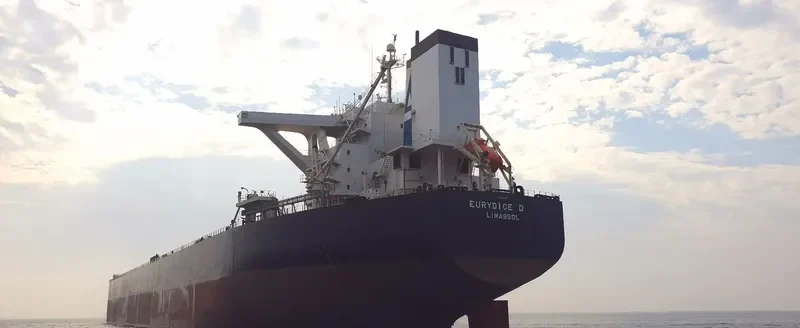 EURYDICE D Bulk Carrier IMO 9462512 photo 4