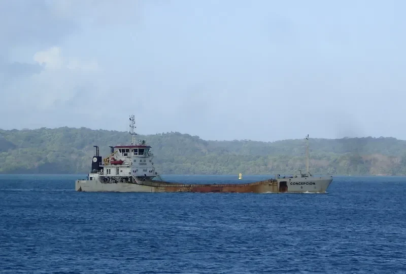 CONCEPCION General Cargo IMO 9462639 photo 4