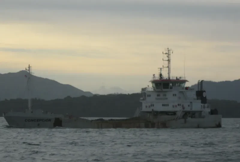 CONCEPCION General Cargo IMO 9462639 photo 8