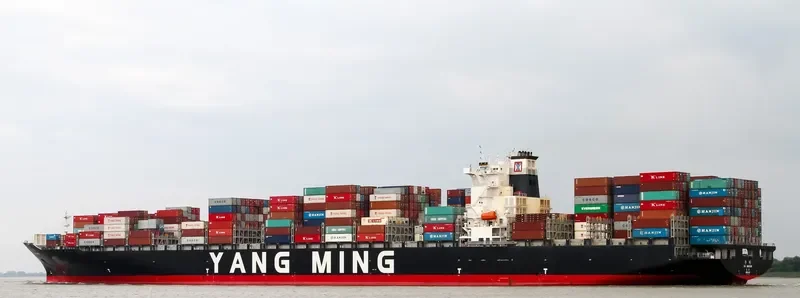 YM UNICORN Container Ship IMO 9462732 photo 3