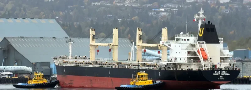 SEASTAR VALIANT Bulk Carrier IMO 9462768 photo 2