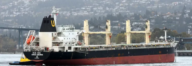 SEASTAR VALIANT Bulk Carrier IMO 9462768 photo 4
