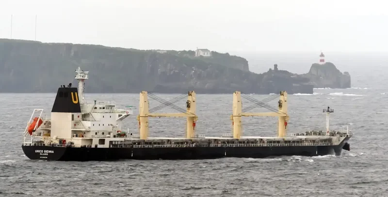 SEASTAR VALIANT Bulk Carrier IMO 9462768 photo 7