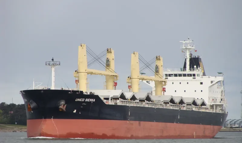 SEASTAR VALIANT Bulk Carrier IMO 9462768 photo 10
